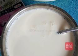 开菲尔酸奶的做法图解5