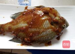 豆酱蒸太阳鱼的做法图解4
