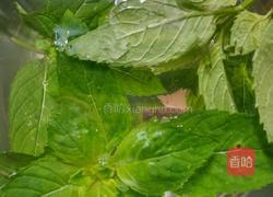 酸奶盆栽的做法图解5