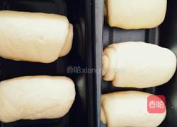 原味吐司面包的做法图解9