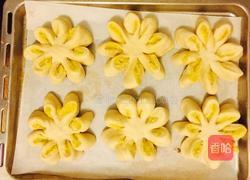 椰蓉花朵面包的做法图解12