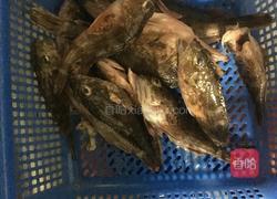 宝宝石斑鱼汤的做法图解1