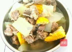 冬瓜玉米排骨汤的做法图解9