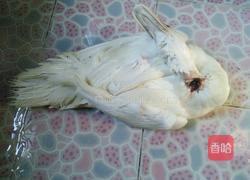 湛江白切鸭的做法图解2