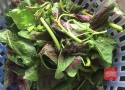 清炒红苋菜的做法图解1