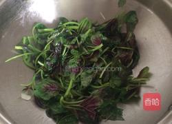 清炒红苋菜的做法图解4