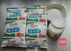 自制酸奶的做法图解1