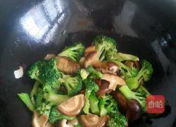 MjUwX2MyOjEvM15yYjI6MS84XzE4MA