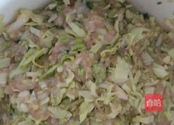 健康白菜肉包的做法图解8