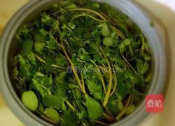 凉拌马齿苋的做法图解1