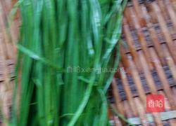 绿豆芽的做法图解1