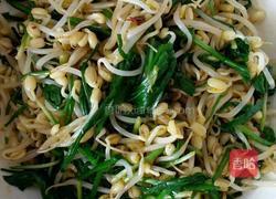 绿豆芽的做法图解4
