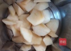 莲藕苹果汁的做法图解2