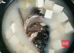 鱼头豆腐汤的做法图解5