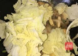 猪肉白菜炖豆腐的做法图解8