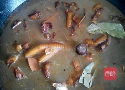 冬瓜炖土鸡的做法图解4