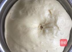 火腿香葱奶香包的做法图解4
