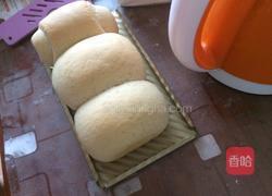 失败的吐司的做法图解4