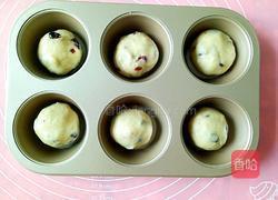 蔓越莓小餐包的做法图解8