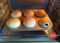 蔓越莓小餐包的做法图解10