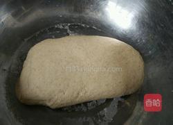 全麦猪猪包的做法图解3