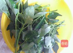 炒空心菜的做法图解1