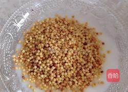 蒙古族特色食品－酸奶拌炒米（减肥.营养价值高）的做法图解3