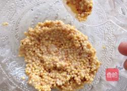 蒙古族特色食品－酸奶拌炒米（减肥.营养价值高）的做法图解4