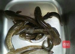 清蒸称星鱼的做法图解1
