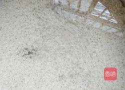 水果粥的做法图解1