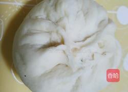 卷心菜胡萝卜素包子的做法图解8