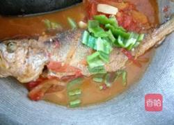 番茄鱼的做法图解10