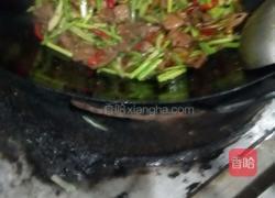 蒜薹炒猪肝的做法图解7