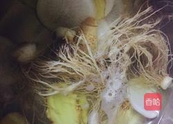 生姜葱须白萝卜汤的做法图解4
