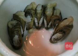 瘦肉丝炖老蛏的做法图解4