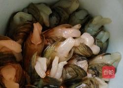 瘦肉丝炖老蛏的做法图解5