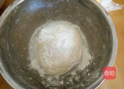 宝宝三色饺子的做法图解22