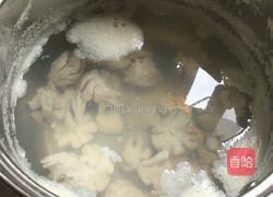 熊家婆粉子的做法图解3