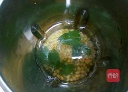 冰豆浆的做法图解6