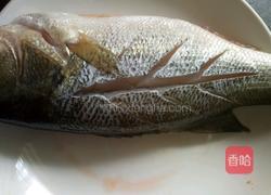 红烧鲈鱼的做法图解1