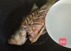 红烧鲈鱼的做法图解6