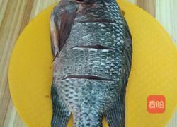 炖煮罗非鱼的做法图解3