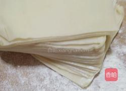 香煎混沌的做法图解4