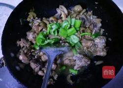 香菇鸡肉的做法图解10