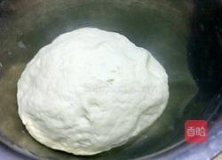 韭菜西葫芦饺子的做法图解2