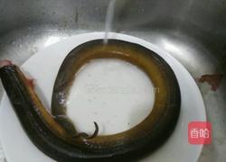 红烧黄鳝的做法图解3