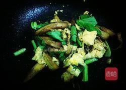茄子炒蛋的做法图解5