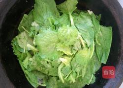 小白菜抄丝瓜的做法图解5