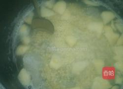 小米粥的做法图解3