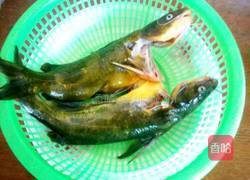黄骨鱼红烧的做法图解1
